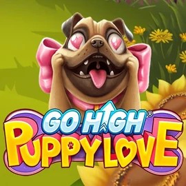 Play the Go High Puppy Love slot by RubyPlay on PiperSpin Casino