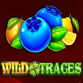 Play Wild Traces slot by Amusnet Interactive on piperspins.eu
